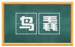 鸟毳