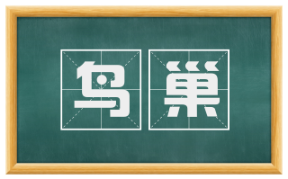 鸟巢
