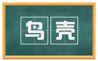 鸟壳