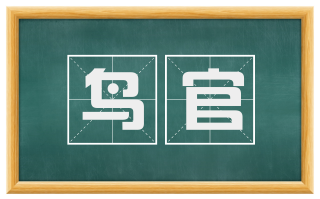 鸟官