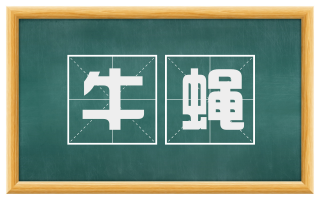 牛蝇