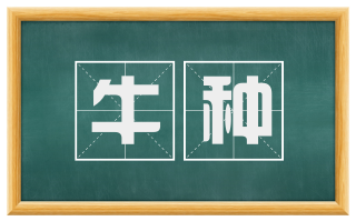 牛种