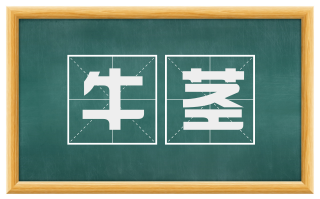 牛茎