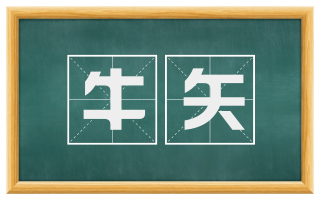 牛矢