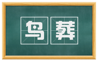 鸟葬