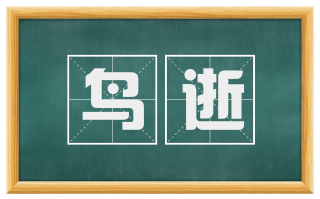 鸟逝
