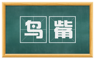 鸟觜