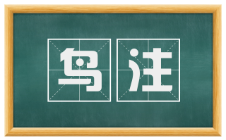 鸟注