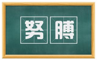 努膊