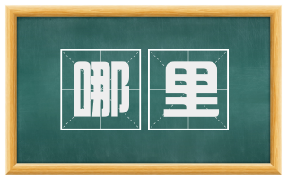 哪里