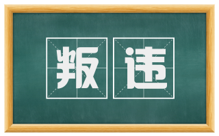 叛违