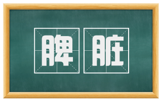 脾脏