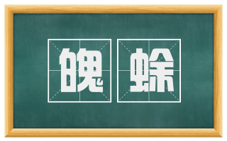 魄蜍