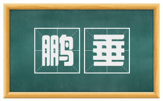 鹏垂