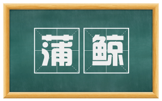 蒲鲸