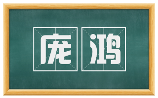 庞鸿