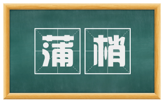 蒲梢
