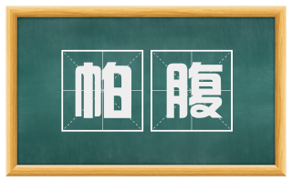 帕腹
