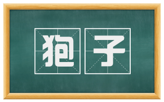 狍子