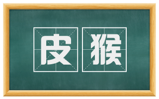 皮猴