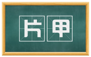 片甲