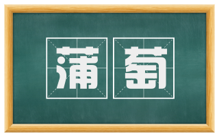 蒲萄