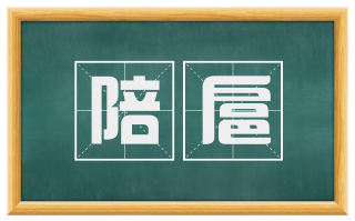 陪扈