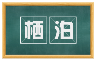 栖泊