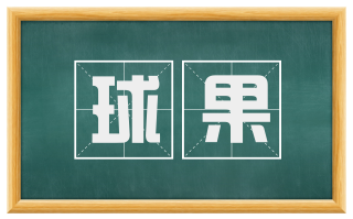 球果