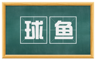 球鱼