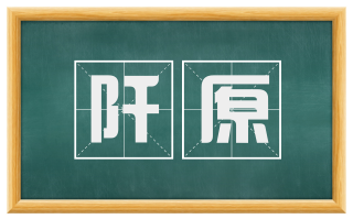 阡原