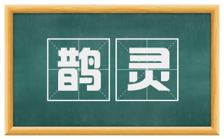 鹊灵