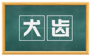 犬齿