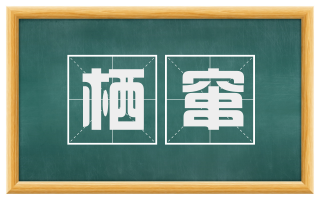 栖窜