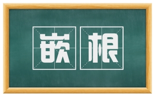 嵌根