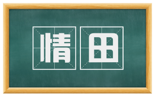 情田