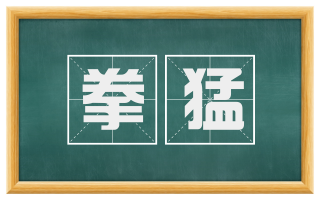 拳猛