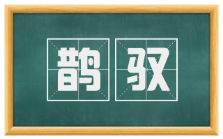 鹊驭