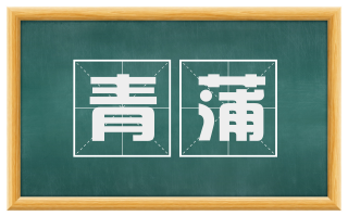 青蒲