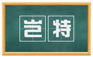 岂特
