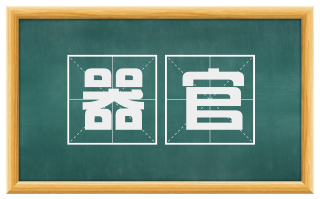 器官