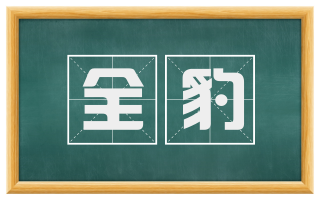 全豹
