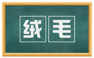 绒毛