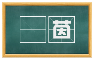 袡茵