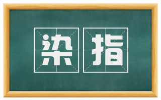 染指