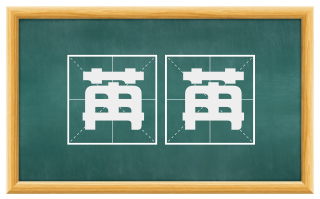 苒苒