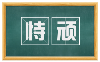 恃顽