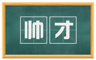 帅才
