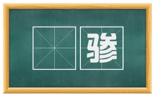 説骖