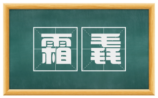 霜毳